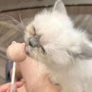 ヒメ日記 2025/10/22 17:01 投稿 れい ラブリップ大宮店