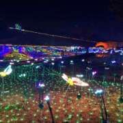 ヒメ日記 2025/11/24 21:15 投稿 梶浦　しょう子 Eureka！EGOIST～エゴイスト～-美とエロスの饗宴