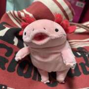 ヒメ日記 2026/03/07 11:13 投稿 みずき 一力茶屋