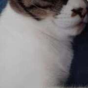 ヒメ日記 2025/10/16 09:00 投稿 サナエ ミセスClub