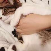 ヒメ日記 2025/11/02 21:18 投稿 サナエ ミセスClub