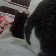 ヒメ日記 2025/11/04 15:20 投稿 サナエ ミセスClub