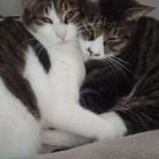 ヒメ日記 2025/11/04 18:32 投稿 サナエ ミセスClub