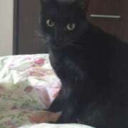 ヒメ日記 2025/11/10 09:00 投稿 サナエ ミセスClub