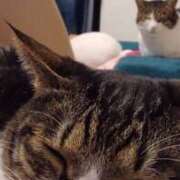 ヒメ日記 2025/11/15 09:00 投稿 サナエ ミセスClub