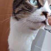 ヒメ日記 2025/11/18 14:02 投稿 サナエ ミセスClub