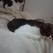 ヒメ日記 2025/11/18 19:04 投稿 サナエ ミセスClub