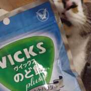 ヒメ日記 2025/11/24 20:15 投稿 サナエ ミセスClub