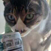 ヒメ日記 2025/11/27 11:05 投稿 サナエ ミセスClub