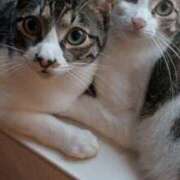 ヒメ日記 2025/11/27 23:34 投稿 サナエ ミセスClub