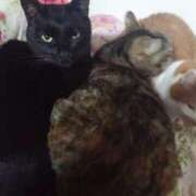 ヒメ日記 2025/11/29 20:17 投稿 サナエ ミセスClub