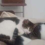 ヒメ日記 2025/12/03 14:04 投稿 サナエ ミセスClub