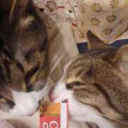 ヒメ日記 2025/12/20 20:37 投稿 サナエ ミセスClub