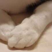 ヒメ日記 2026/01/03 19:02 投稿 サナエ ミセスClub