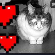 サナエ お疲れ様でございます🌃✨ ミセスClub