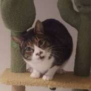 ヒメ日記 2026/01/25 21:52 投稿 サナエ ミセスClub