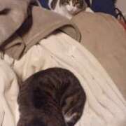 ヒメ日記 2026/01/27 18:50 投稿 サナエ ミセスClub