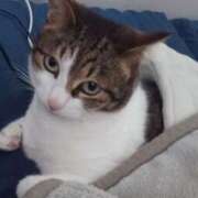 ヒメ日記 2026/02/12 20:45 投稿 サナエ ミセスClub