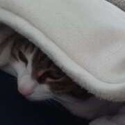 ヒメ日記 2026/02/20 11:11 投稿 サナエ ミセスClub