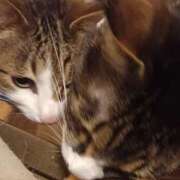 ヒメ日記 2026/02/22 11:09 投稿 サナエ ミセスClub