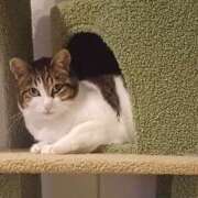 ヒメ日記 2026/03/08 12:56 投稿 サナエ ミセスClub