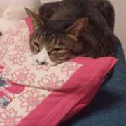 ヒメ日記 2026/04/15 20:24 投稿 サナエ ミセスClub