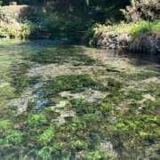 ヒメ日記 2026/04/08 15:03 投稿 凛莉-RIRI- luxury aroma 咲