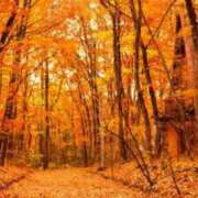 ヒメ日記 2025/11/07 07:38 投稿 アキ セクシーキャット 小田原店