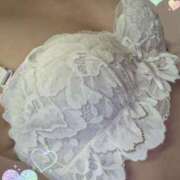 ヒメ日記 2025/11/14 23:48 投稿 アキ セクシーキャット 小田原店