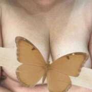 ヒメ日記 2025/11/16 23:35 投稿 ともか 厚木人妻城