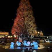 ヒメ日記 2025/12/24 09:32 投稿 平山一花 五十路マダムエクスプレス横浜店（カサブランカグループ）