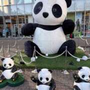 ヒメ日記 2025/12/29 08:26 投稿 平山一花 五十路マダムエクスプレス横浜店（カサブランカグループ）