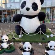 ヒメ日記 2026/01/19 09:00 投稿 平山一花 五十路マダムエクスプレス横浜店（カサブランカグループ）