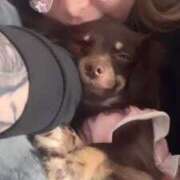 LANA ギンギラスタッフからのお題✨️寝る前のルーティーン🫶 GINGIRA☆TOKYO～ギンギラ東京～