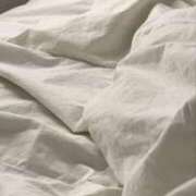 ヒメ日記 2026/01/29 12:44 投稿 もち しろわい 仙台店