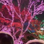 ヒメ日記 2025/12/03 19:54 投稿 しおり 新感覚恋活ソープもしも彼女が○○だったら・・・福岡中州本店