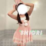 ヒメ日記 2025/12/16 07:15 投稿 しおり 新感覚恋活ソープもしも彼女が○○だったら・・・福岡中州本店