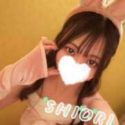 ヒメ日記 2025/12/22 21:51 投稿 しおり 新感覚恋活ソープもしも彼女が○○だったら・・・福岡中州本店