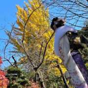 ヒメ日記 2026/01/02 09:11 投稿 しおり 新感覚恋活ソープもしも彼女が○○だったら・・・福岡中州本店