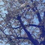 ヒメ日記 2026/04/02 16:45 投稿 しおり 新感覚恋活ソープもしも彼女が○○だったら・・・福岡中州本店