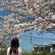 ヒメ日記 2026/04/09 15:41 投稿 しおり 新感覚恋活ソープもしも彼女が○○だったら・・・福岡中州本店