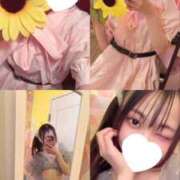 ヒメ日記 2026/05/29 08:11 投稿 しおり 新感覚恋活ソープもしも彼女が○○だったら・・・福岡中州本店