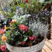 ヒメ日記 2025/11/12 07:08 投稿 澄原(すみはら) 熟女出逢い会『百合の園』目黒店