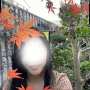 ヒメ日記 2025/11/14 07:08 投稿 澄原(すみはら) 熟女出逢い会『百合の園』目黒店