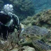 ヒメ日記 2025/11/26 20:38 投稿 澄原(すみはら) 熟女出逢い会『百合の園』目黒店