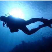 ヒメ日記 2026/01/11 18:08 投稿 澄原(すみはら) 熟女出逢い会『百合の園』目黒店