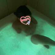 ヒメ日記 2026/03/11 14:23 投稿 きき バカンス学園　谷九校