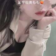 ヒメ日記 2025/10/30 15:43 投稿 宇佐美 もも［P］ モンテクラブ