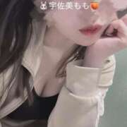 ヒメ日記 2025/12/29 18:42 投稿 宇佐美 もも［P］ モンテクラブ