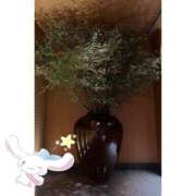 ヒメ日記 2026/01/30 14:07 投稿 ゆのん ハピネス東京